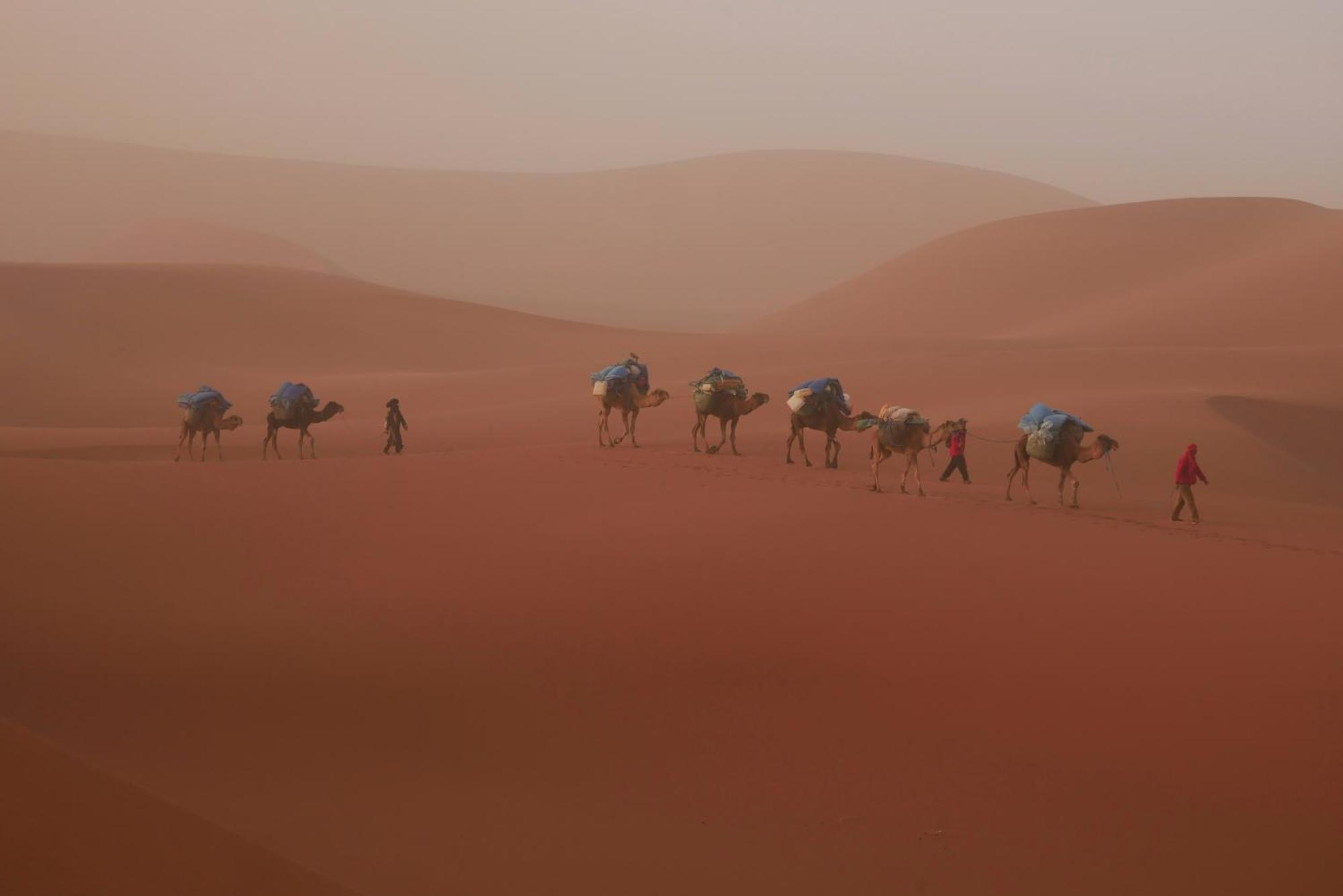 Jardin Du Desert M’hamid El Ghizlane Exterior foto