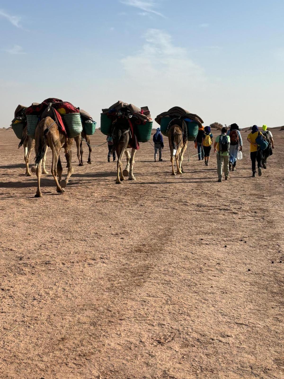 Jardin Du Desert M’hamid El Ghizlane Exterior foto