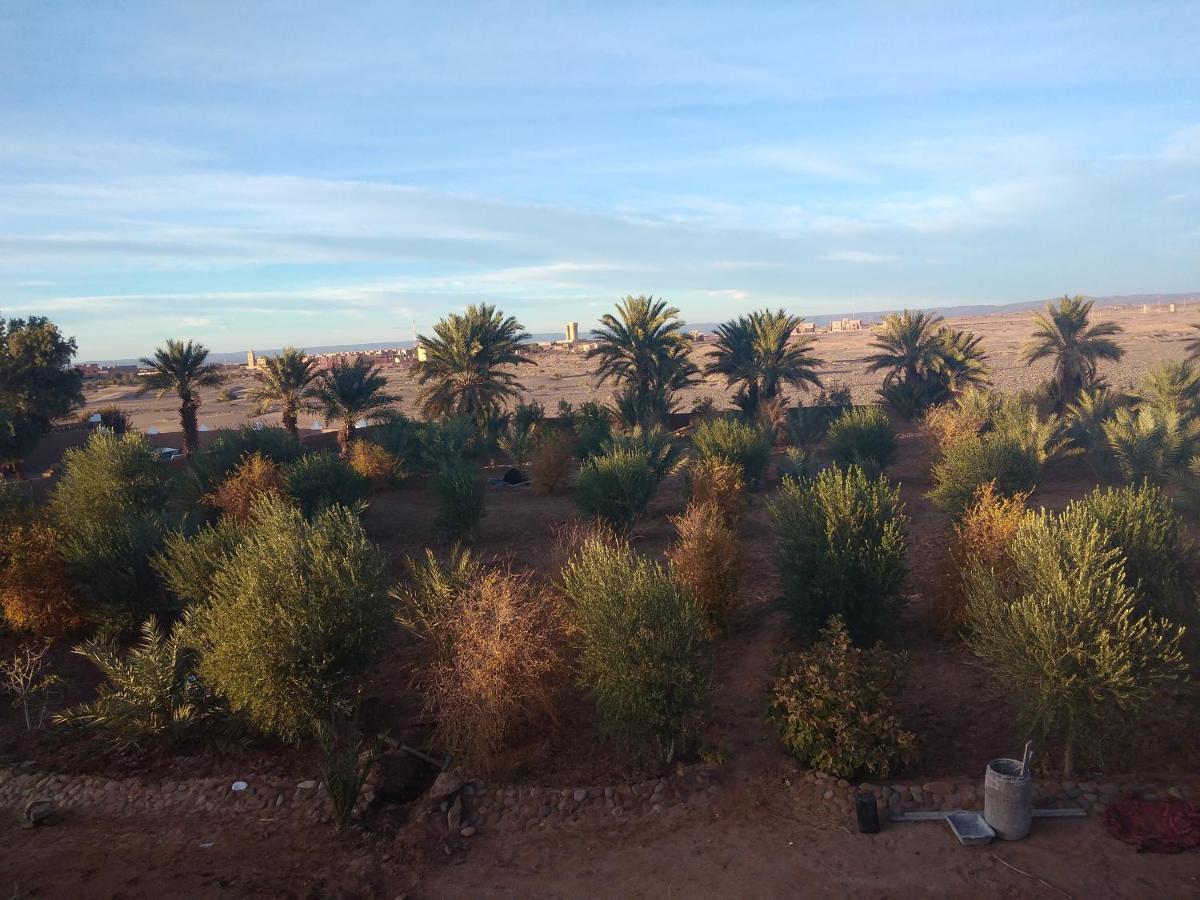 Jardin Du Desert M’hamid El Ghizlane Exterior foto